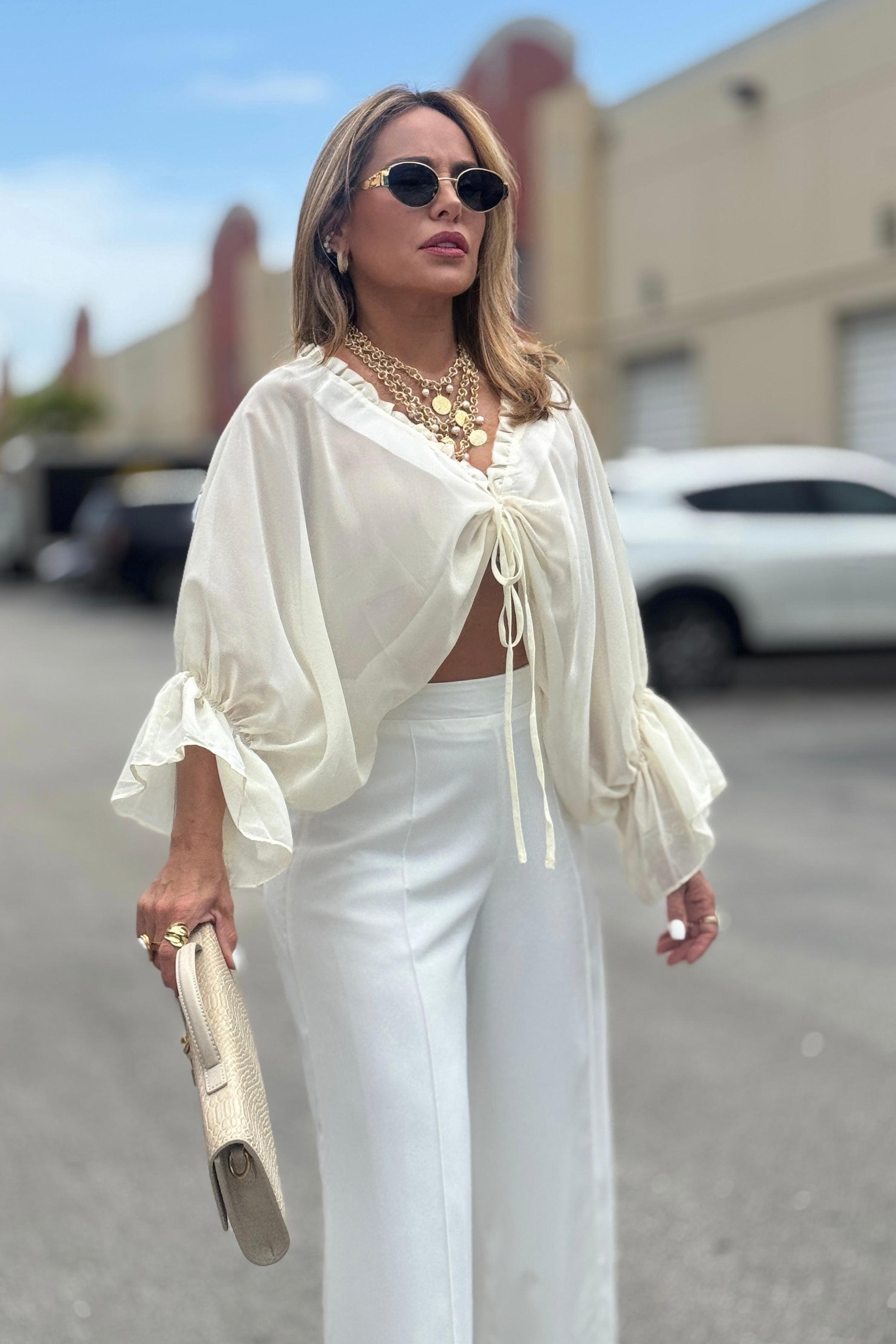 Claudia Chiffon Ruched Top Blouse