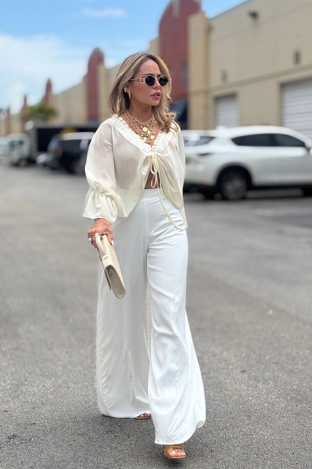Claudia Chiffon Ruched Top Blouse