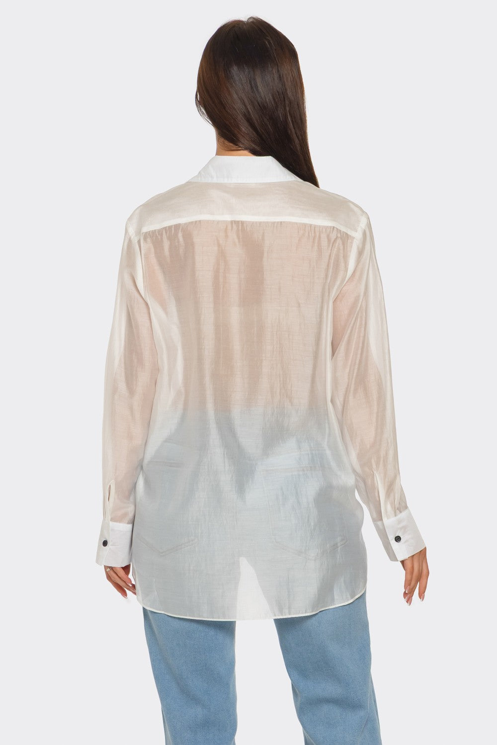 Sheer Oversize Blouse Shirt