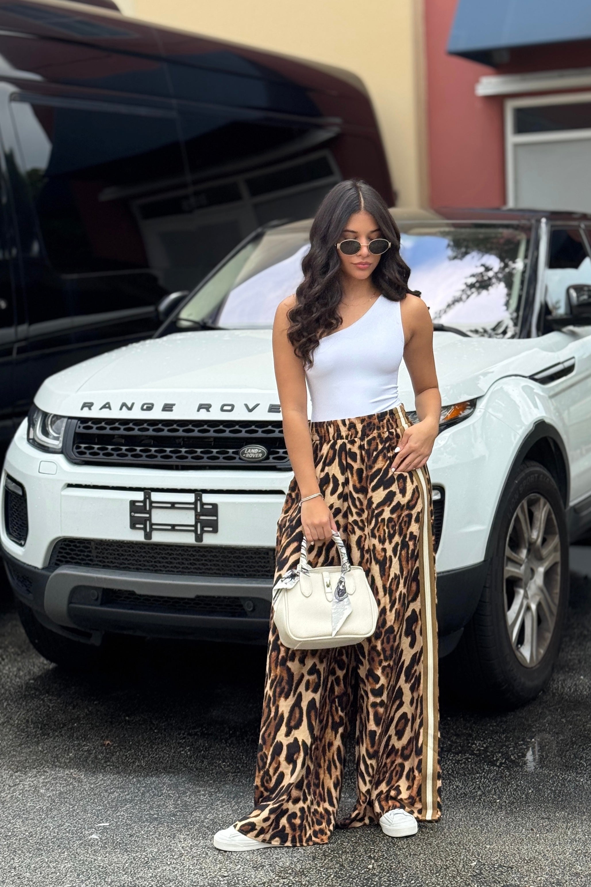 Animal Print Stripes Pant