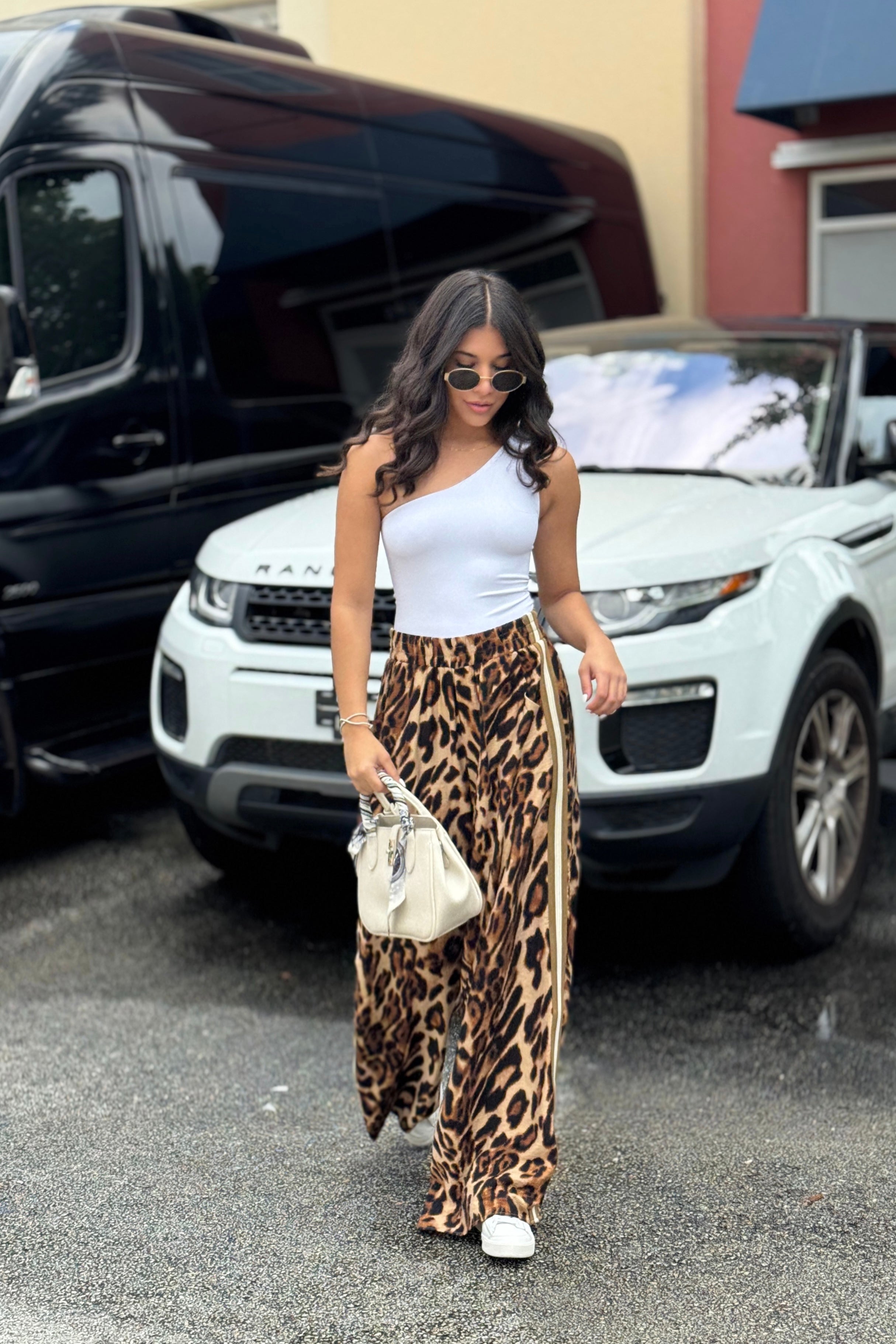 Animal Print Stripes Pant