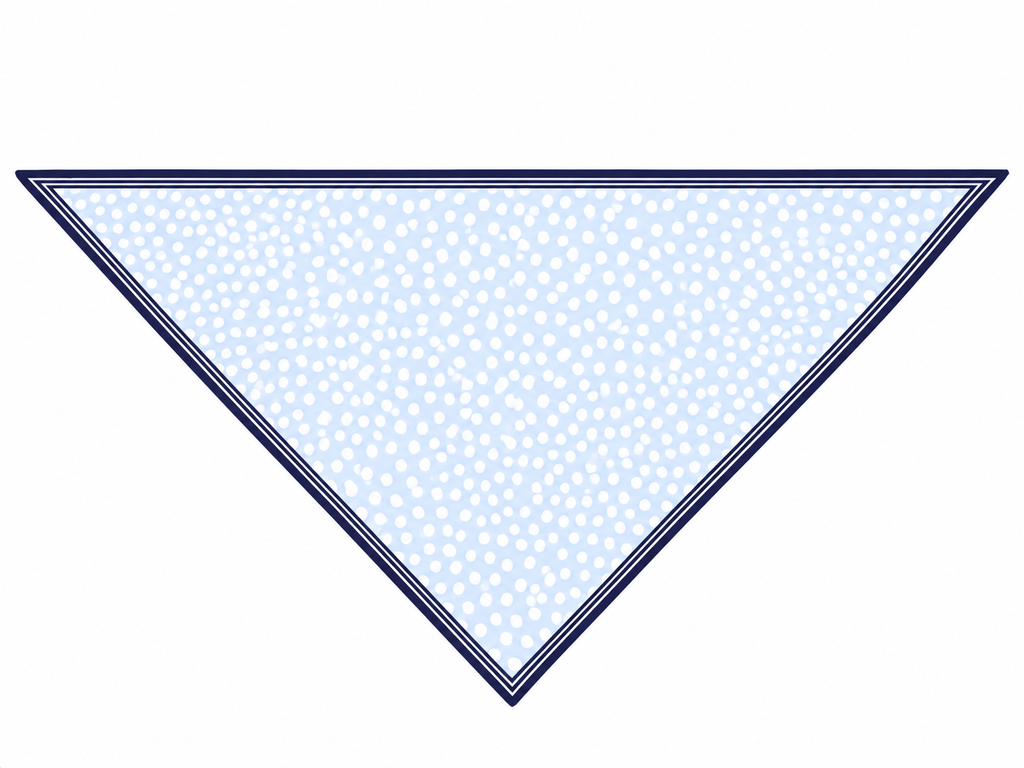 MIDNIGHT POLKA SCARF