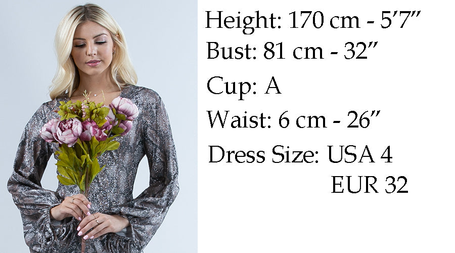 Miranda Sheer Mesh Blouse Top